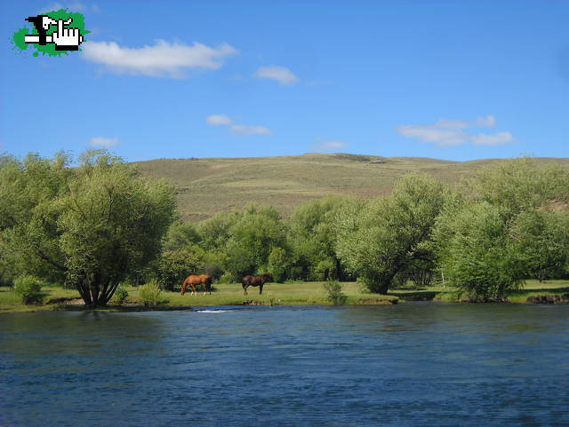 Junn de los Andes- Bariloche.