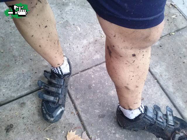 Lluvia y un poco de barrito