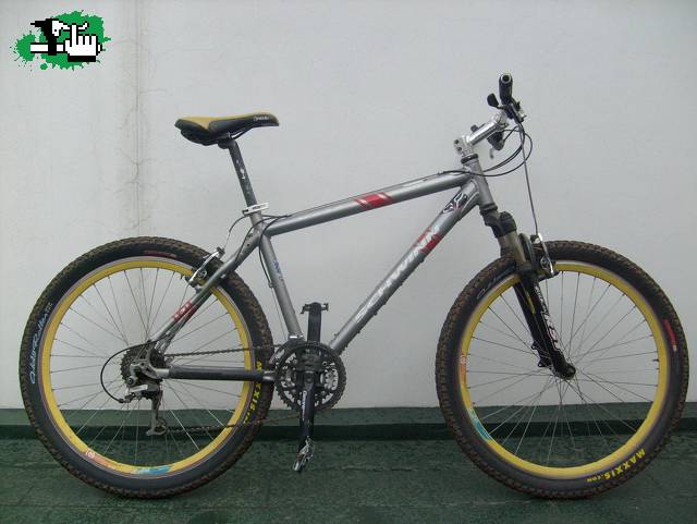 Schwinn Moab 3, robada en El Palomar