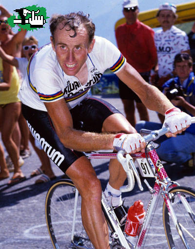 JOOP ZOETEMELK - Homenaje