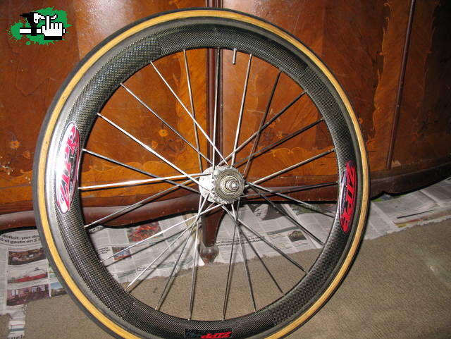 bicitauro49