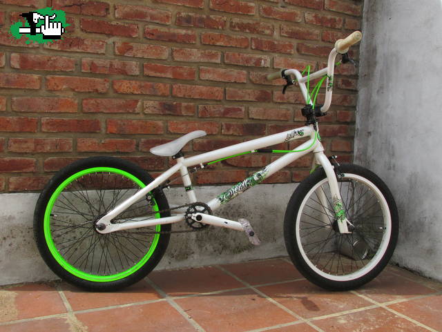 agus_22