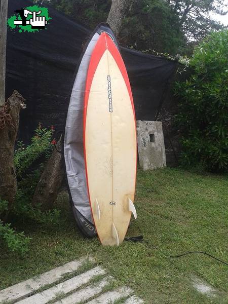 Permuto mi tabla de surf y funda