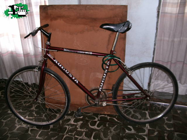 ndgonzalez