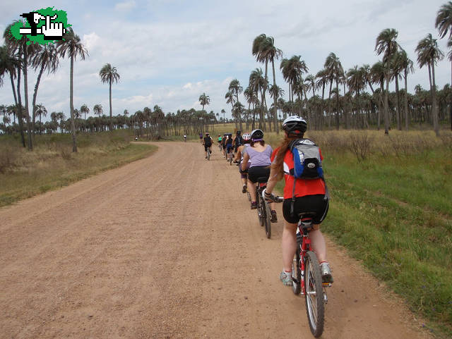 El Palmar Bike Tour XL