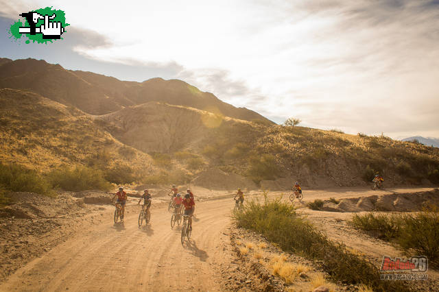 Salta por la ruta del vino Bike Tour