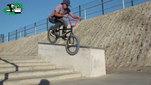 dia en el park