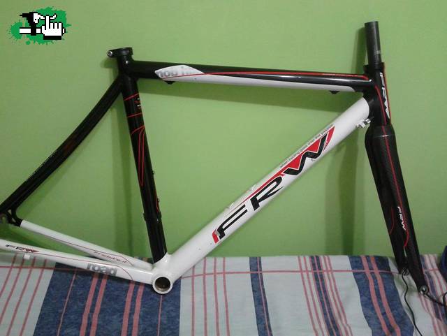 renzo3