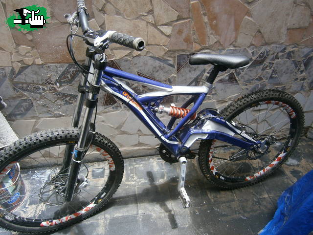 La evolucin