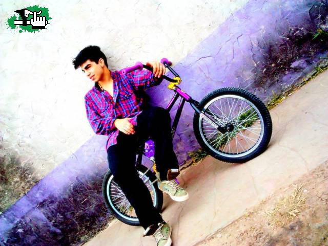 freestyle