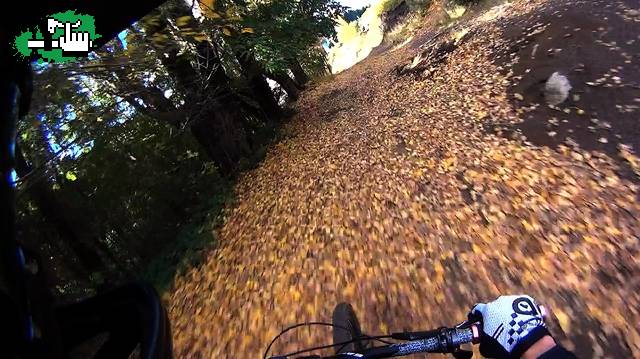 Video en otoo en Bariloche, Ro Negro, Argentina