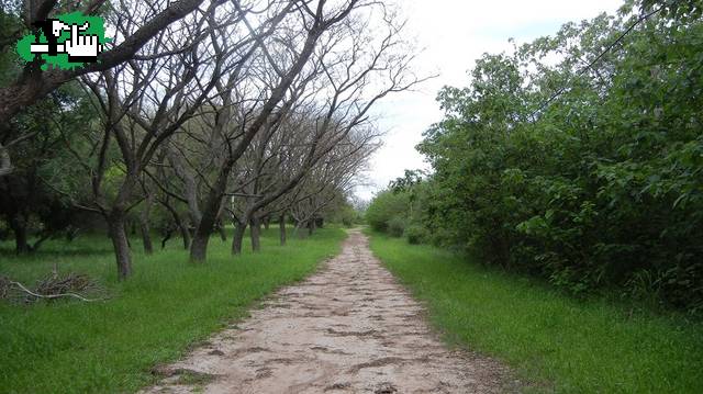 San Pedro - Obligado - Gdor Castro - San Pedro