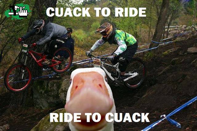 cuack to ride