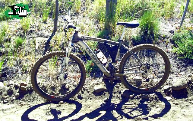 Olmo en acción en Huiliches, Neuquén, Argentina
