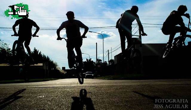 Ride or Die