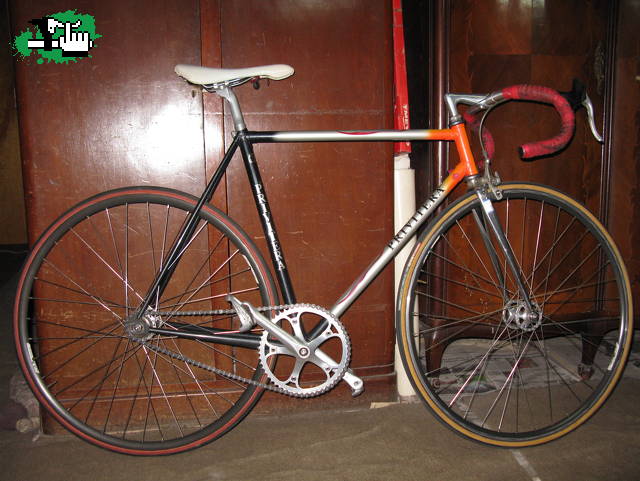 bicitauro49