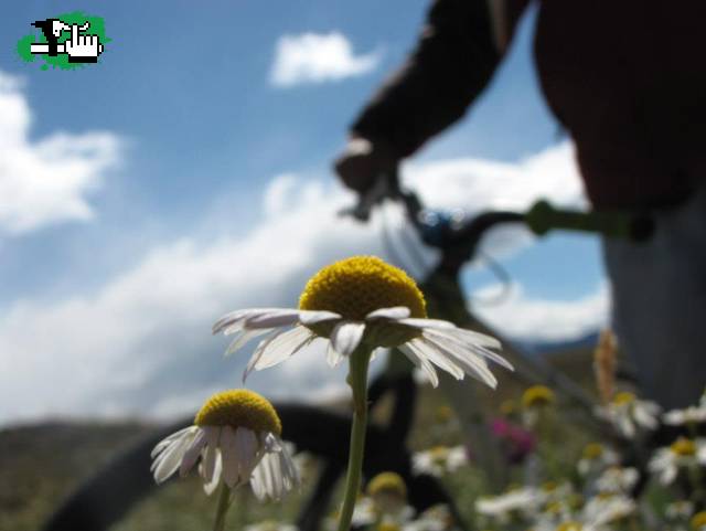 perfecta combinacion: naturaleza y deporte