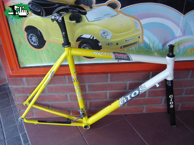 javier_stafe