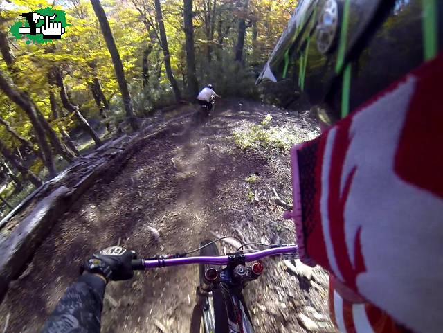 Video en el Bosque de Mallín de la Pala.