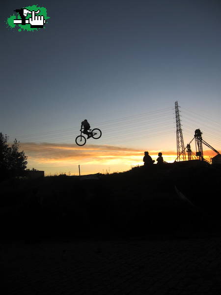 Whip en Necochea, Buenos Aires, Argentina