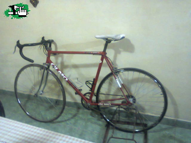 Olmo restaurada en Chacabuco, Buenos Aires, Argentina