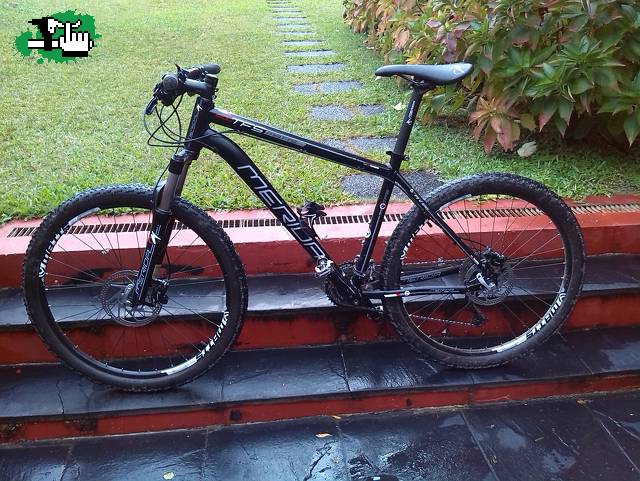 tico435diaz