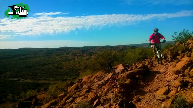 por el sendero de la araa 