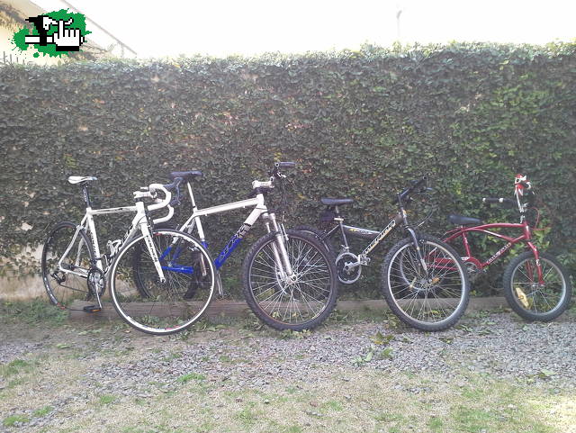 familia casi completa en Junín, Buenos Aires, Argentina