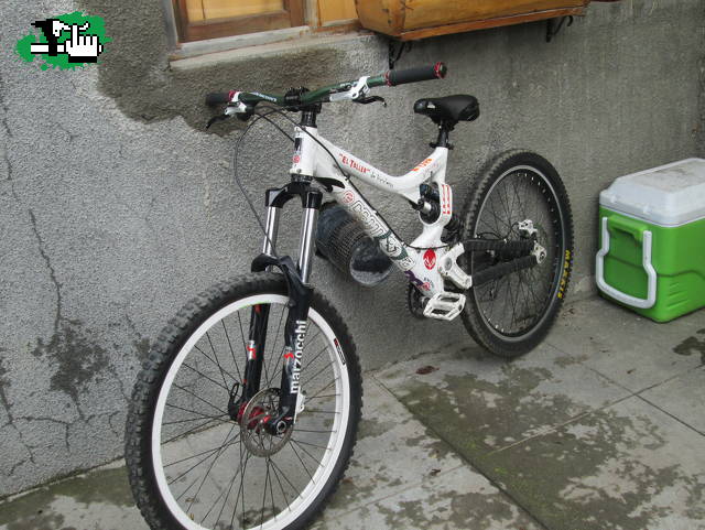 mardos