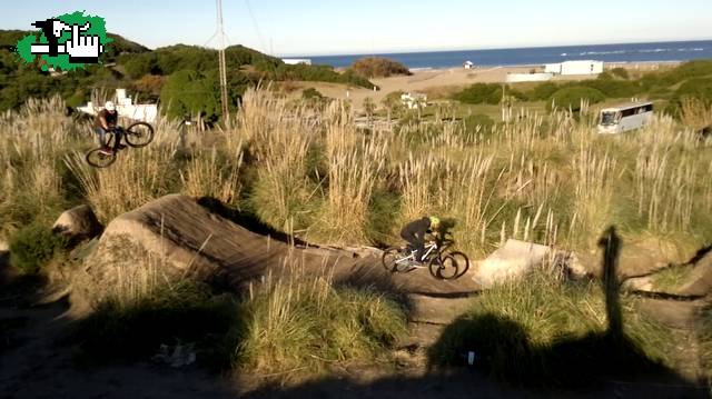 domingo de faro con patito