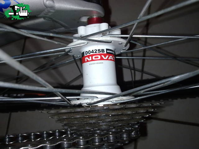 rider199
