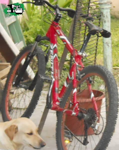 Bicicleta Zenith Sala ROBADA!!