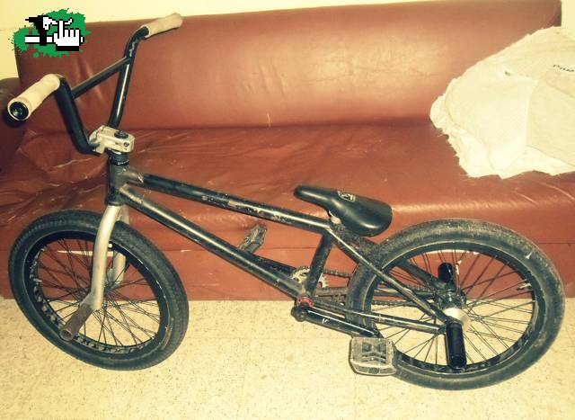 Dale que va (Check actualizado)