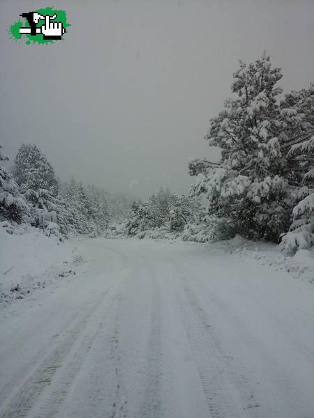 Cerro otto, Bariloche a full descenso con nieve.