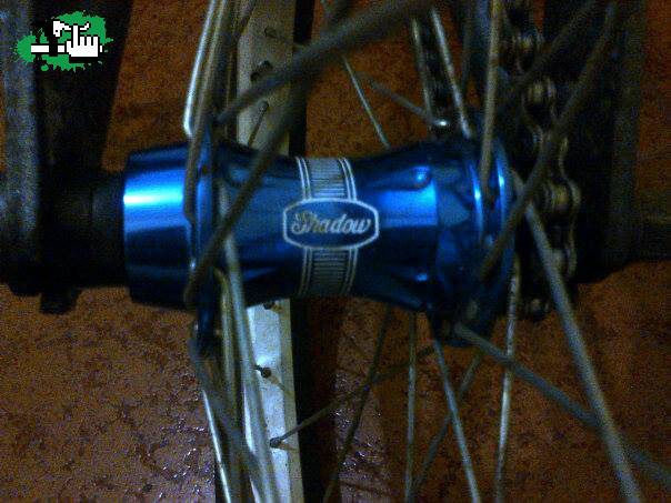 Permuto Masa shadow raptor blue