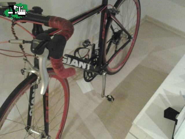 giant scr 2013