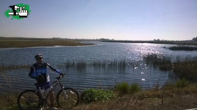 DOMINGUERA en Venado Tuerto, Santa Fe, Argentina