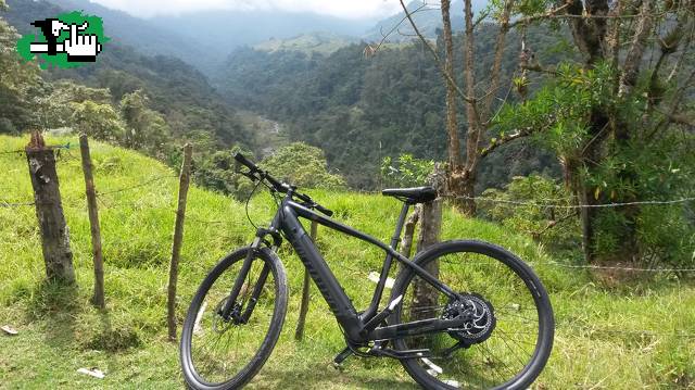 Test Specialized 2015