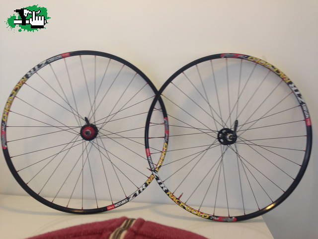 bikesaltagama