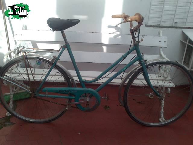  alguien tiene alguna data de esta bici????