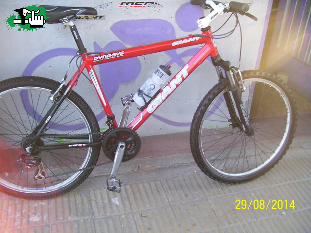 ricardomossano