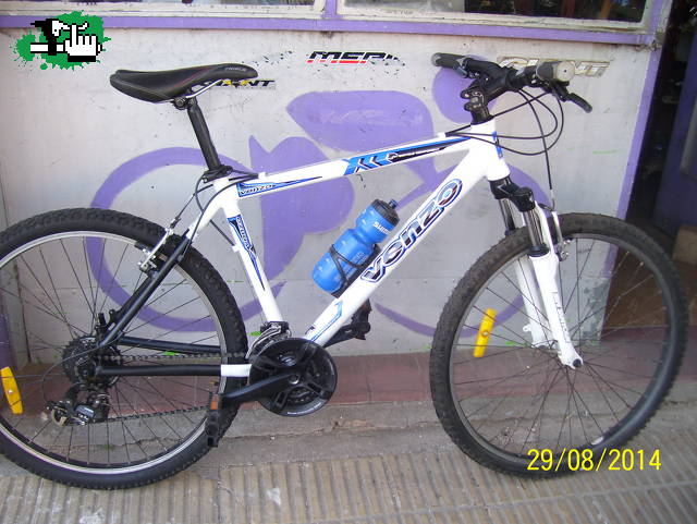ricardomossano