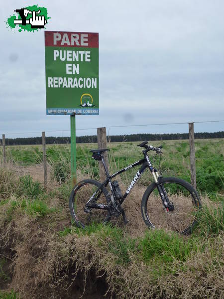 Temporal