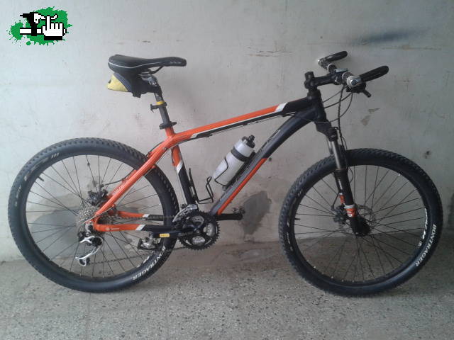 margon36