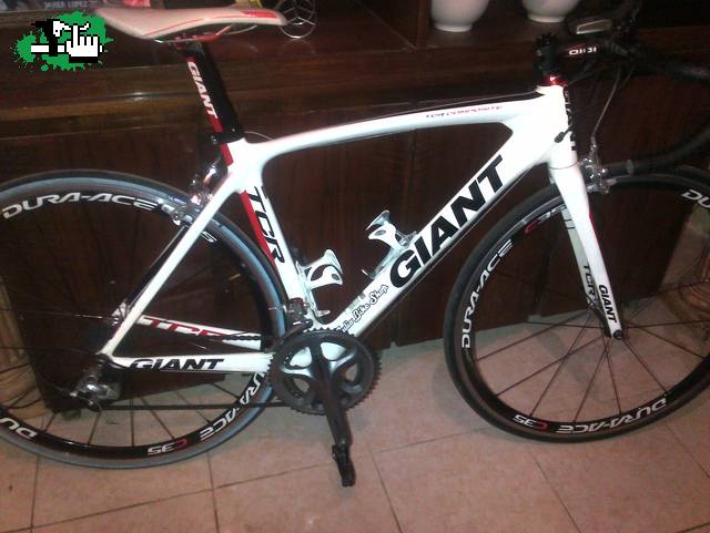 javienzo12