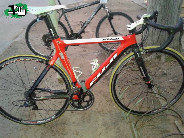 gabriel6638