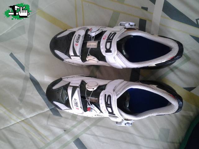 gonza_041