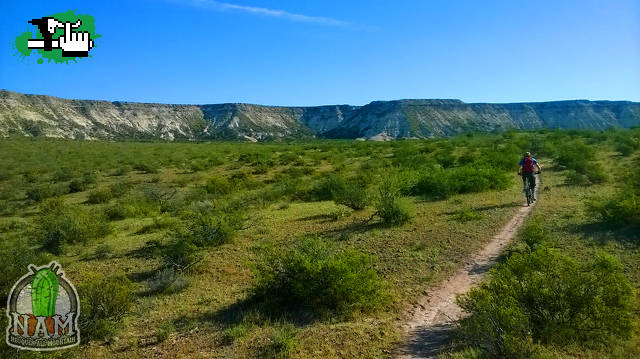 estepa verde