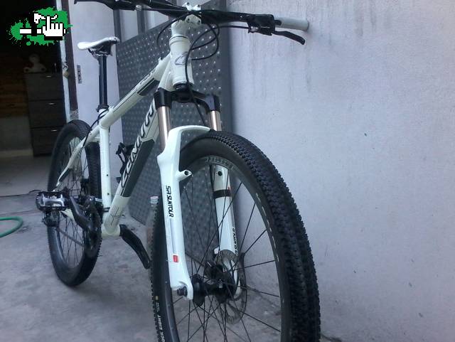 zenith recien lavada