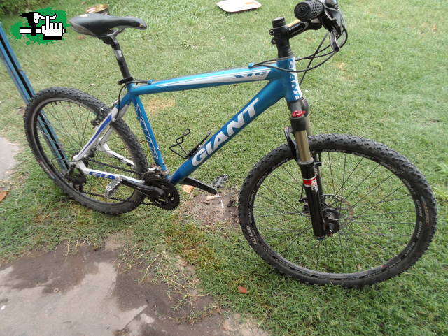 INDIO221